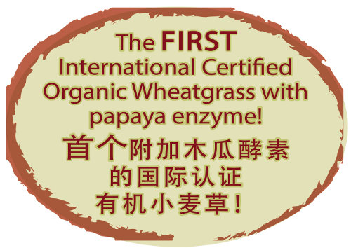 First Enzyme