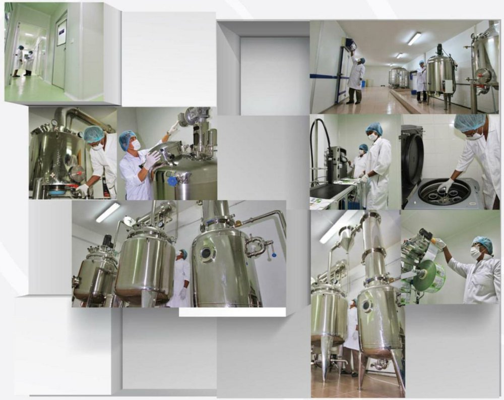 GMP Factory