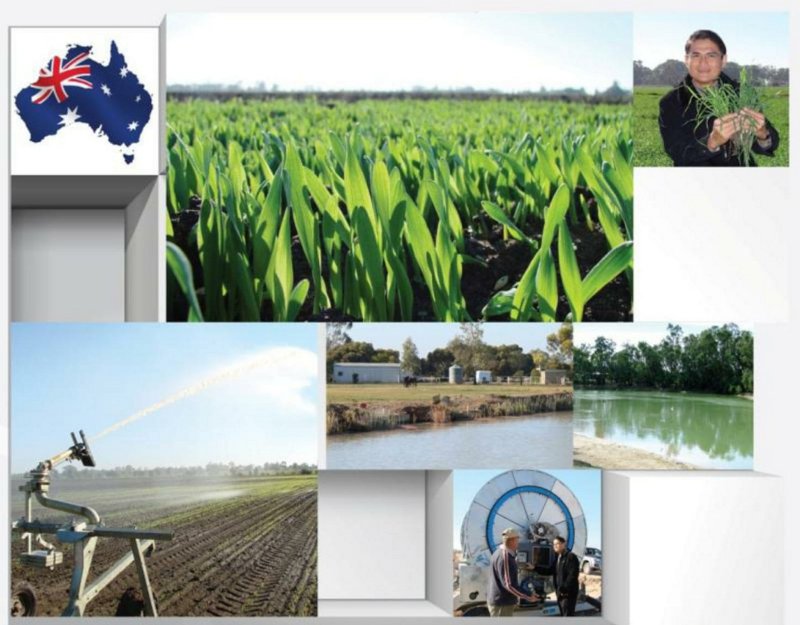 Plantation Australia